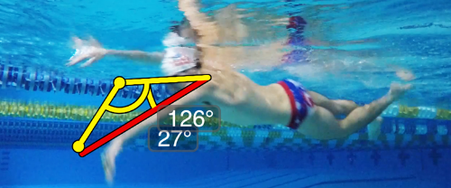 3 Skræddersyet/Standard træningsprogrammer